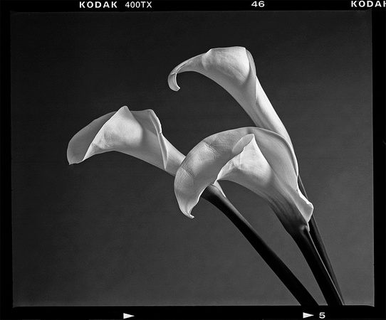 Frame 46_MKIV