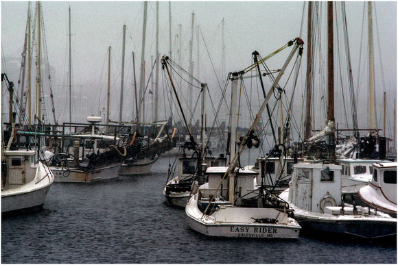 Cold Harbor Color